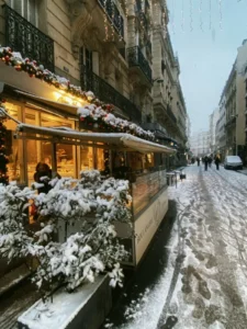Best Photo in paris on snow