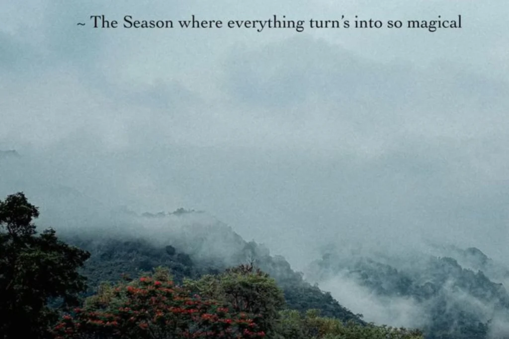 Seasonal & Weather Captions